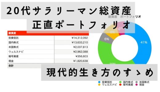 20代サラリーマン総資産　正直ポートフォリオ　2024年12月